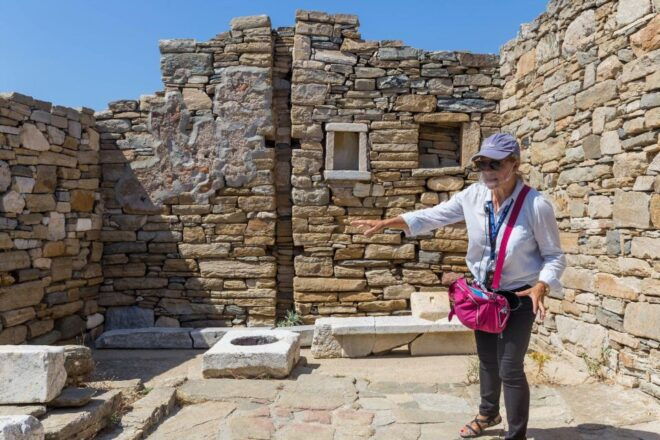 Best of Mykonos Private Tour - Highlights