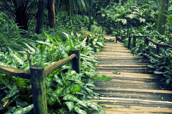 Best of Nadi Highlights From Coral Coast Hotels - Good To Know