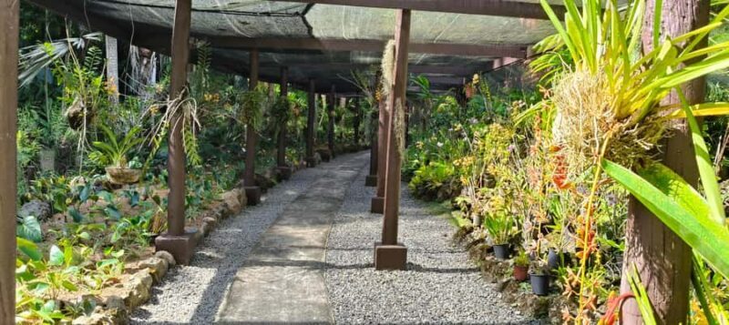 Best of Nadi Highlights - Authentic Experiences and Unforgettable Moments