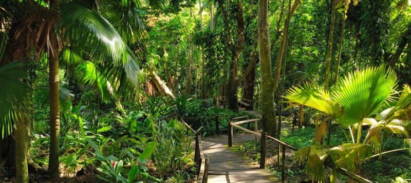 Best of Nadi Highlights - Final Thoughts