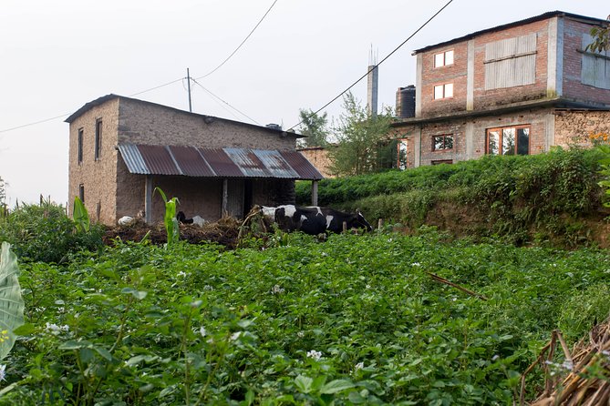 Best of Nagarkot - The Sum Up