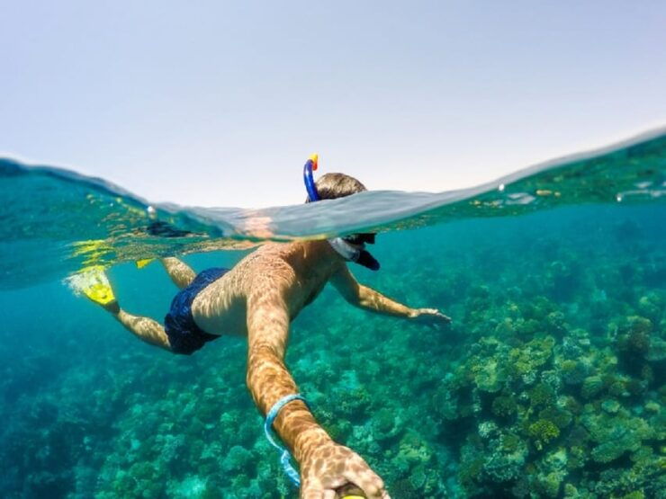 Best of Nha Trang Private Tour - Shore Excursion - Itinerary Highlights