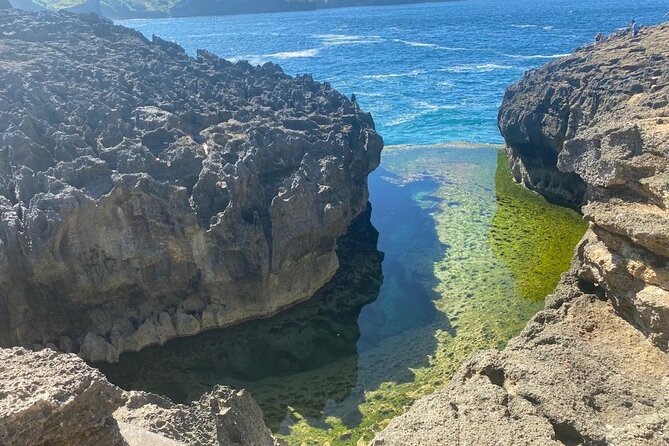Best Of Nusa Penida Private Guided Tour - Reviews Summary