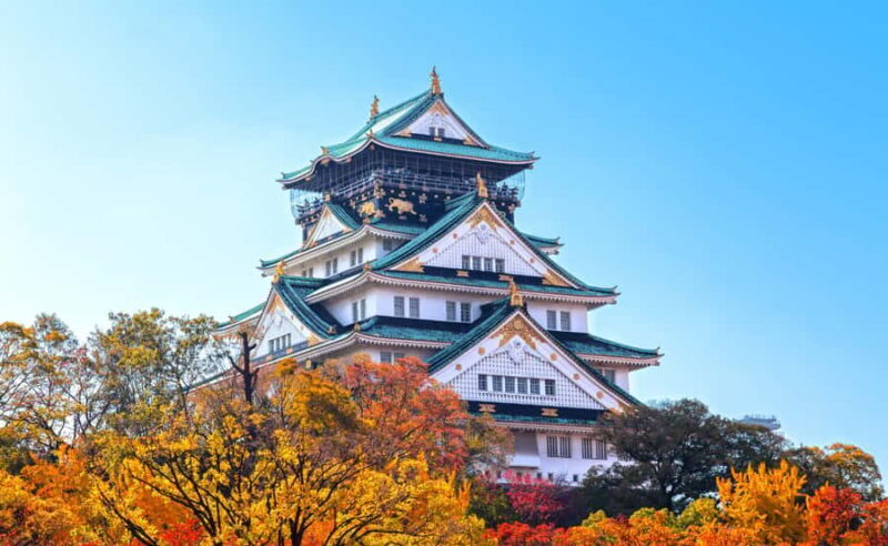 Best of Osaka: Castle, Markets & Dotonbori Day Tour - Analyzing the Value