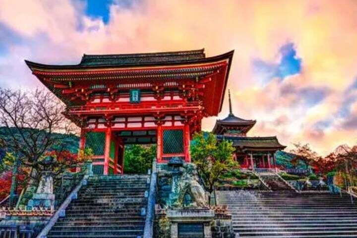 Best of Osaka, Kyoto and Hiroshima 6 Days by Vio Travel - Key points to know before you book