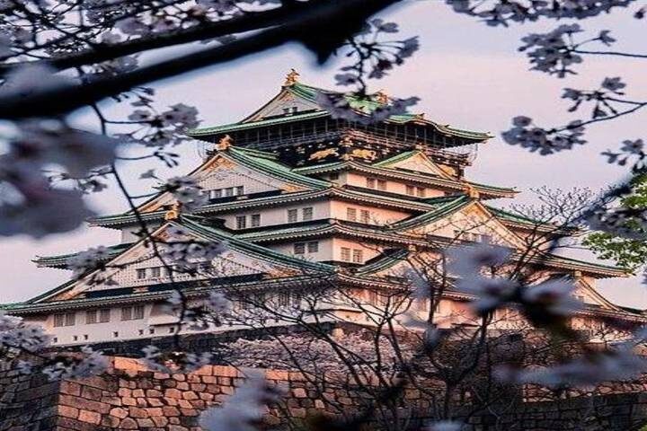 Best of Osaka, Kyoto and Hiroshima 6 Days by Vio Travel - Day 2: Osaka Castle, markets and ramen