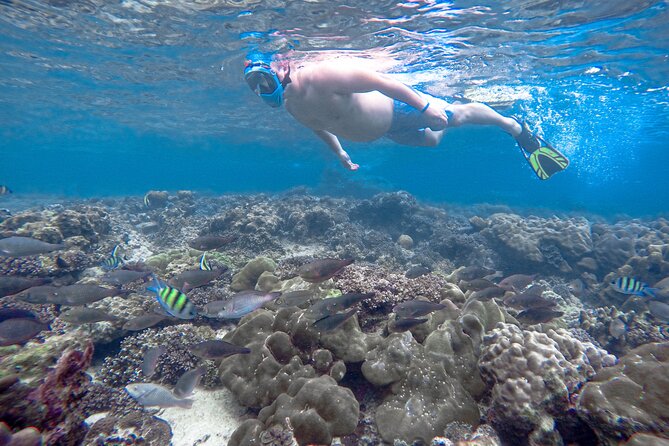 Best of Phi Phi Islands Snorkeling Tour From Phuket - Itinerary Highlights