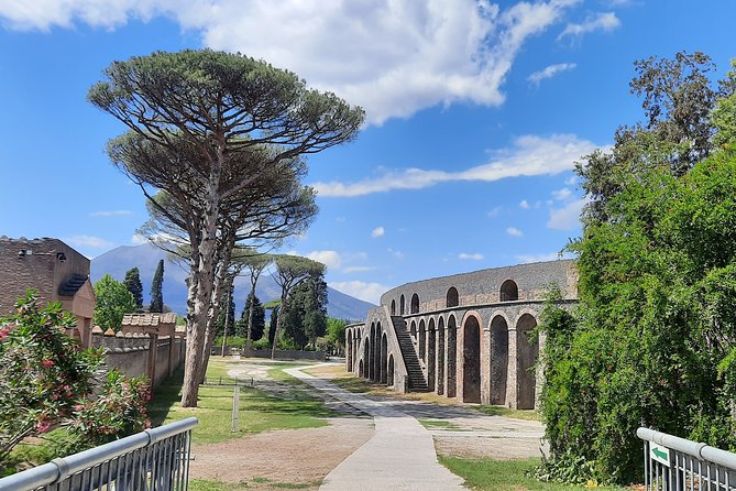 Best of Pompeii - 2 Hour Private Tour With Alex - Whats Included in the Tour Package