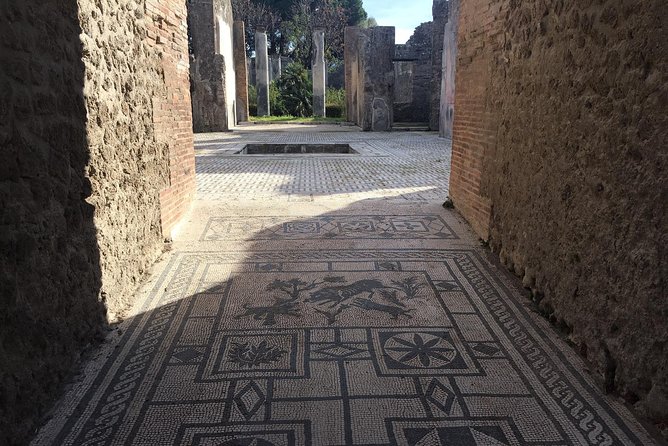 Best of Pompeii and Herculaneum With an Expert Archaeologist - Traveler Photos and Reviews