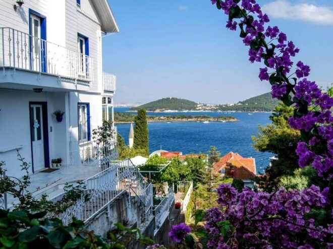 Best of Princes Island Day Tour With Boat Ride & Transfer - Inclusions and Benefits