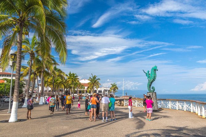 Best of Puerto Vallarta Private Tour: Highlight Treasures and Hidden Gems - Meeting and Pickup Information for the Tour