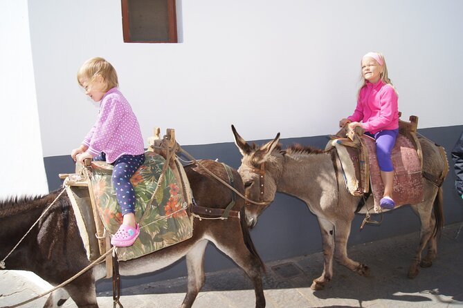 Best of Rhodes Tour Including Lindos and Medieval City - Travel Tips & Recommendations