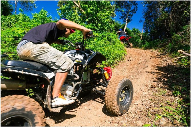 Best of Roatan: ATV Adventure or BUGGY BLAST(Add Sloths Beach @ Xtra/Optional) - Inclusions and Services