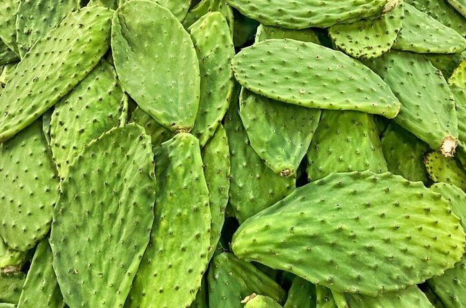 Best of Roma Sur Food Crawl in Mexico City - Who Will Love This Experience?