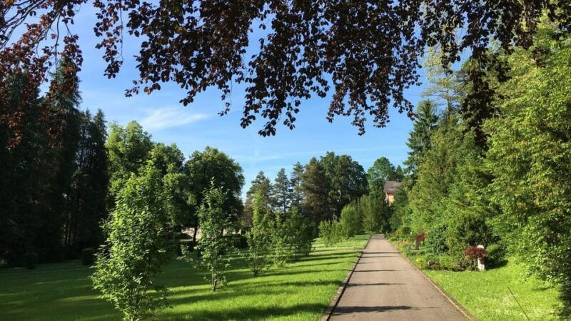 Best of Sankt Gallen: Private Walking Tour With a Local - Exploring the UNESCO-Listed Abbey of Saint Gall