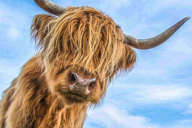 Best of Scotland in a Day and Edradour Whisky Distillery Tour - Cancellation Policy