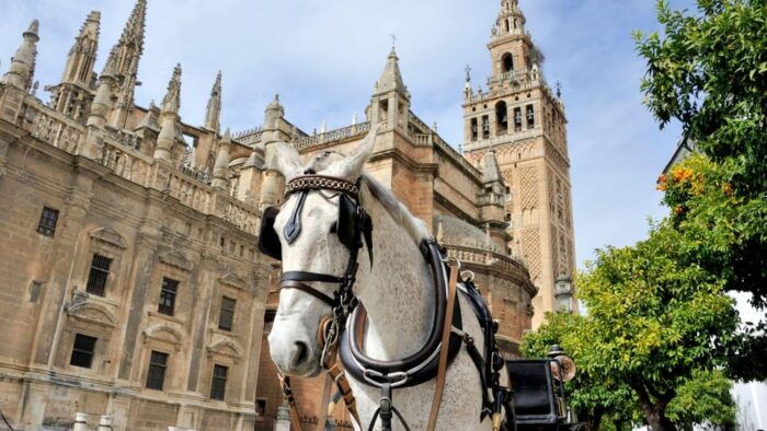 Best of Seville: Private Walking Tour With Local - Customer Testimonials