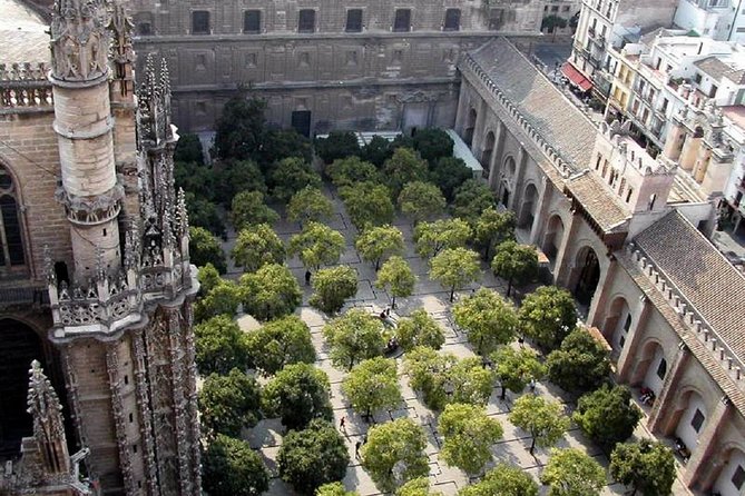 Best of Seville Walking Guided Tour Tour (All Tickets Included) - Traveler Photos