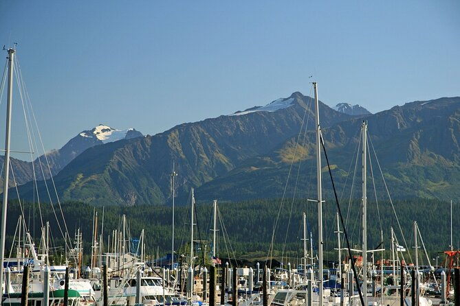 Best of Seward Alaska Full Day Tour - An In-Depth Look at What the Tour Offers