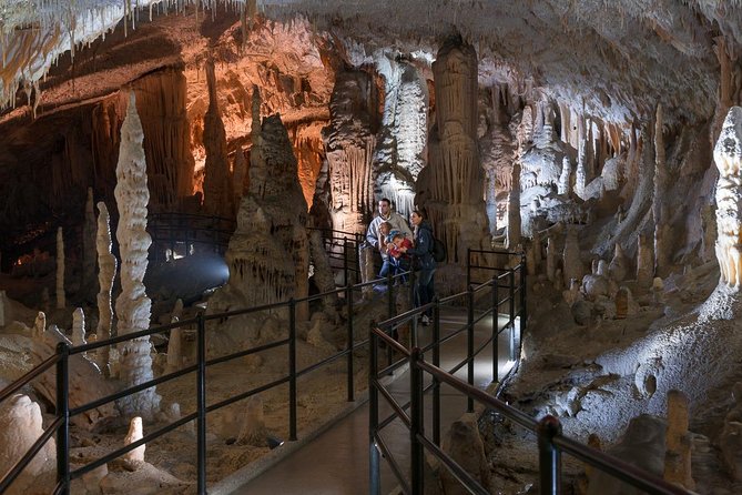 Best of Slovenia Day Trip - Postojna & Bled - Additional Information