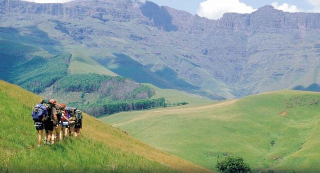 Best of South Africa Tour 10 Days Johannesburg to Cape Town - Daily Activities Breakdown