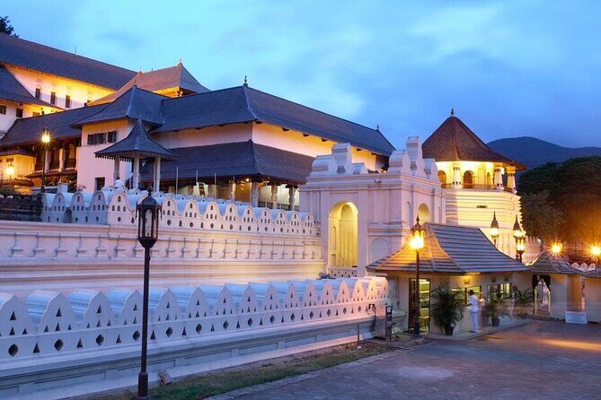 Best of Sri Lanka 10 Days All Inclusive Luxury Private Tour - Who Will Love This Tour?