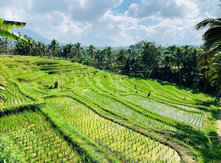 Best of Tanah Lot: All-Inclusive Tour With Optional Lunch - Tour Highlights