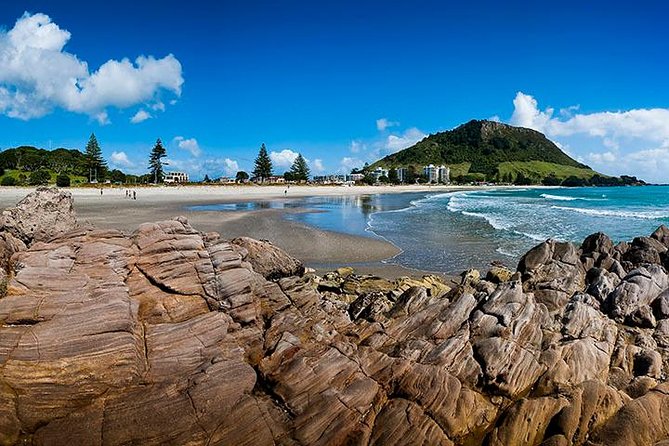 Best of Tauranga & Rotoruas Hidden Secrets - Private Shore Tour - End Point and Cancellation Policy