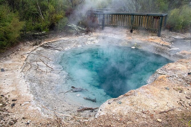 Best of Tauranga & Rotoruas Hidden Secrets - Private Shore Tour - Additional Information