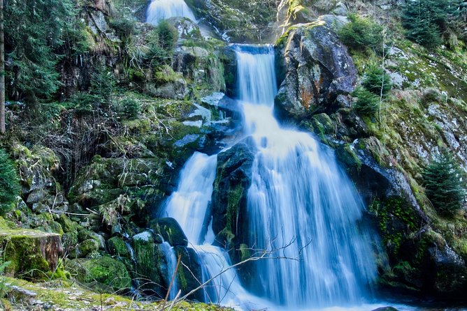Best of the Black Forest From Basel - Scenic Drives Through the Black Forest