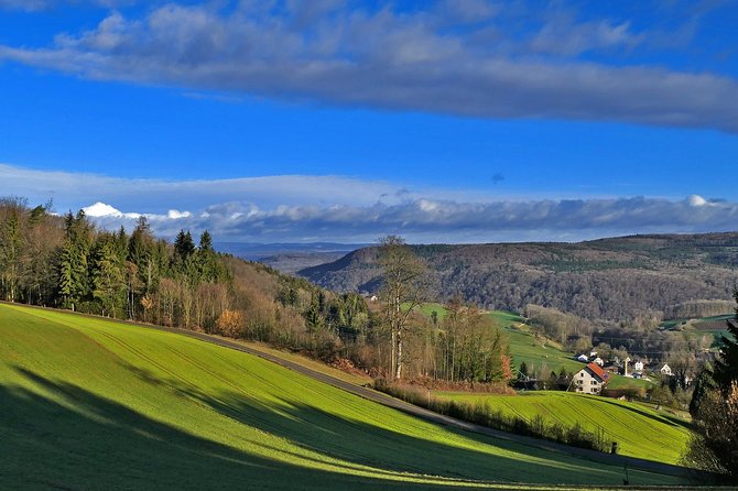 Best of the Black Forest From Basel - Outdoor Adventures in the Black Forest