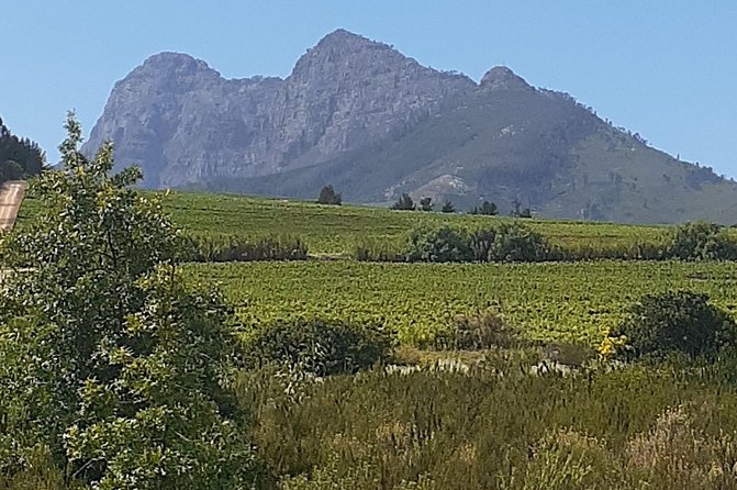 Best Of The Cape 8 Hour Private Tour - Sample Review: Cape of Very Good Hope