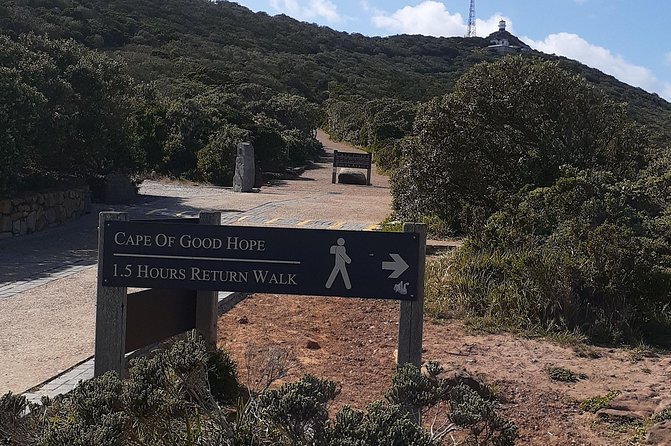 Best Of The Cape 8 Hour Private Tour - Additional Reviews Available