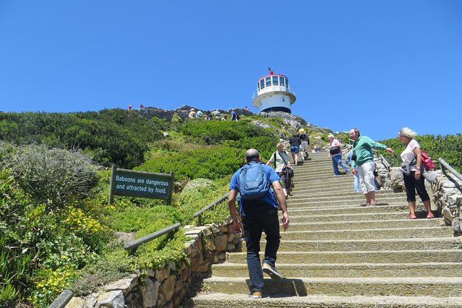 Best of the Cape (Cape Point & Winelands) - Itinerary for the Best of Cape Point & Winelands