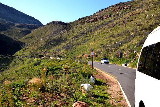 Best of the Cape (Cape Point & Winelands) - Reviews of the Cape Point & Winelands Tour