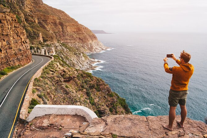 Best of the Cape Full Day Private Tour With Table Mountain - Tour Overview