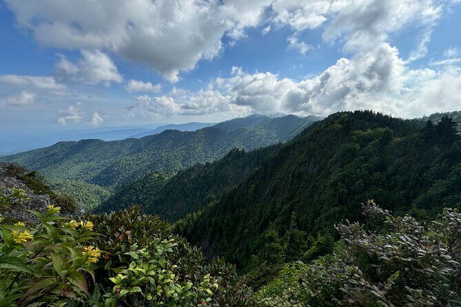 Best of the Smokies Custom Private Tour - What’s Included and Why It Matters