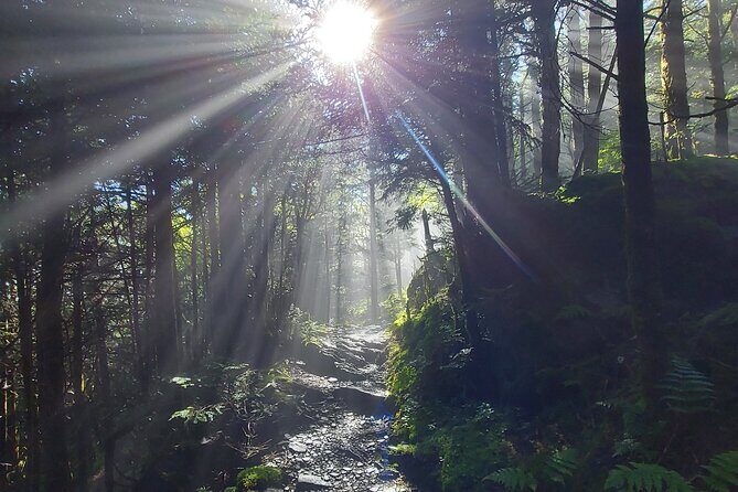 Best of the Smokies Custom Private Tour - Practical Considerations: Value and Planning