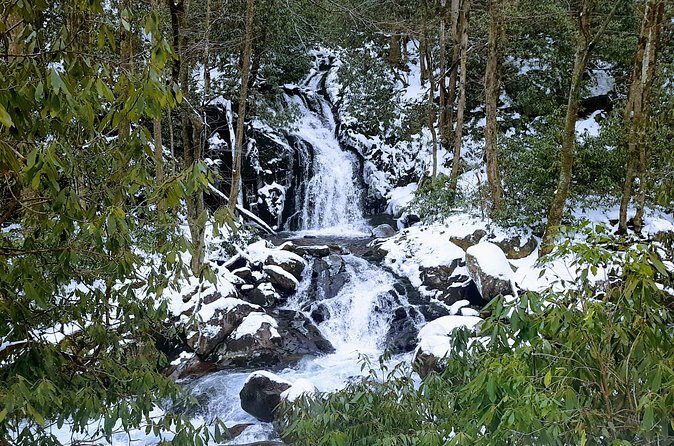 Best of the Smokies Custom Private Tour - Final Recommendation