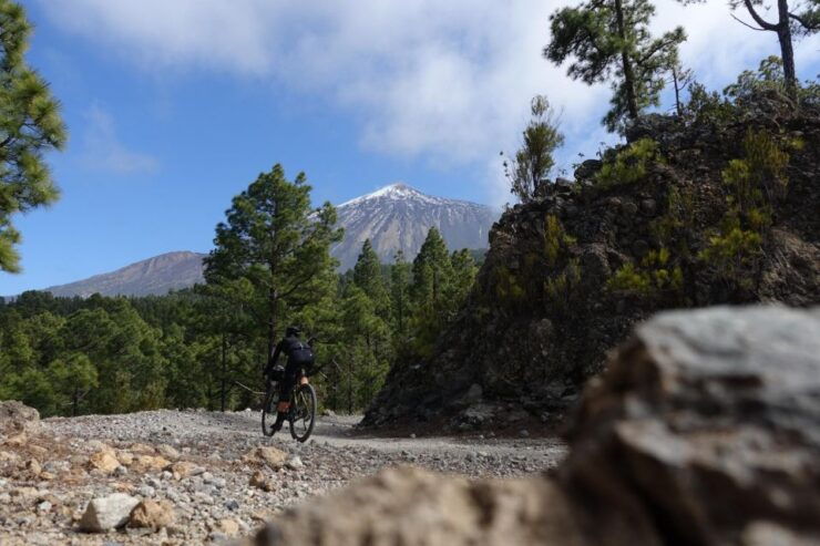 Best of the South - Road Bike Tour - Tour Overview