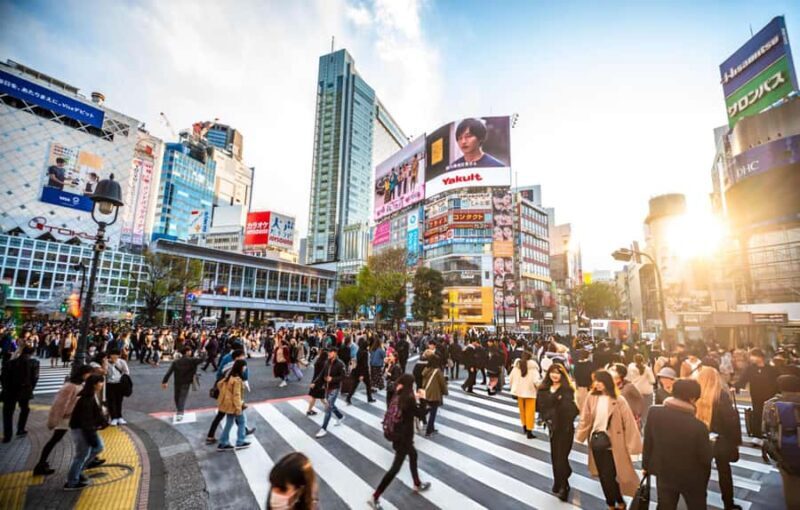 Best of Tokyo: Guided Full Day City Tour with Lunch - Final Thoughts