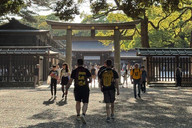 Best of Tokyo in a Day Private Tour with Custom Options - Good To Know