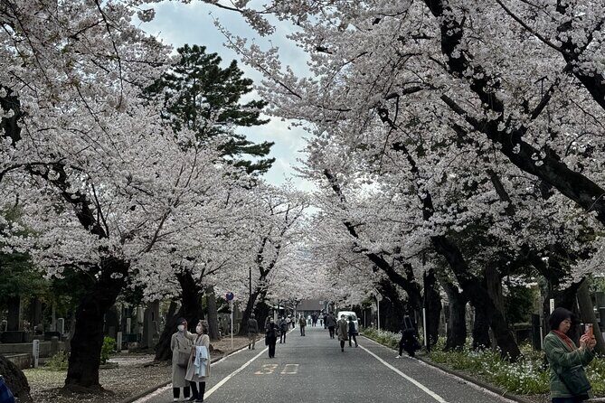 Best of Tokyo in a Day Private Tour with Custom Options - FAQ