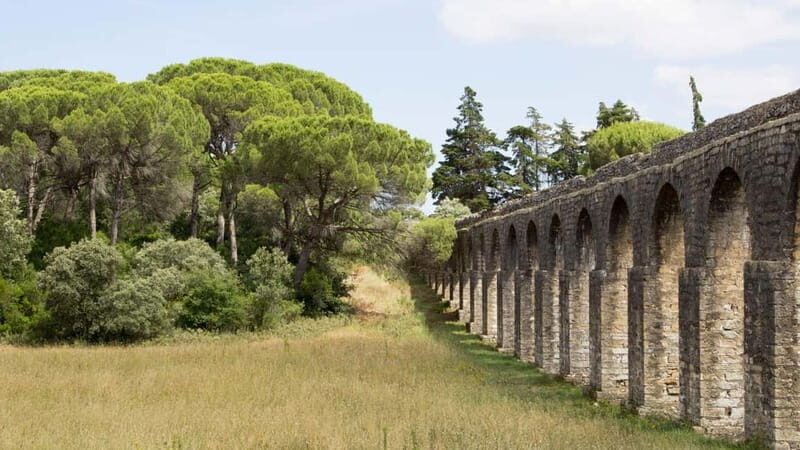 Best of Tomar: Private Walking Tour with a Local - The Authentic Side of Tomar