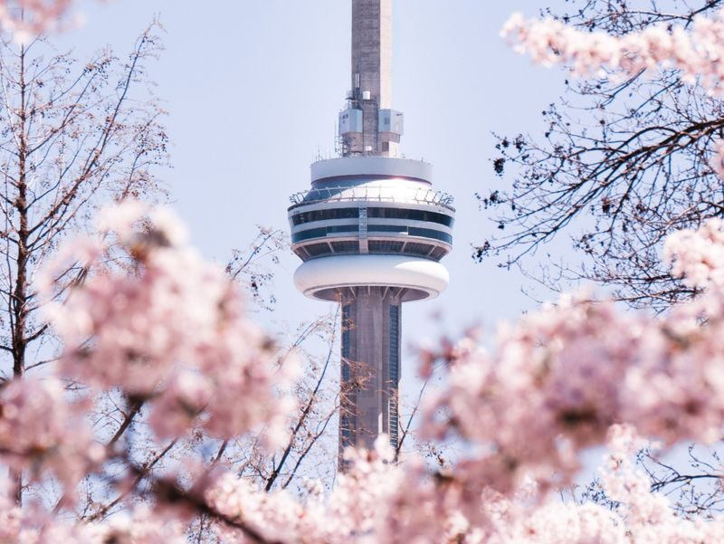 Best of Toronto City Tour with Boat Cruise and CN Tower - A seasonal harbour cruise to finish