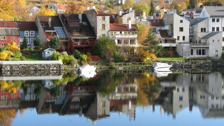 Best of Trondheim: Private Walking Tour with a Local - Who Will Love This Tour?