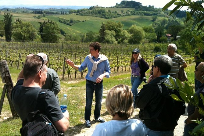 Best of Tuscany Private Tour: Siena, San Gimignano, Monteriggioni - Inclusions