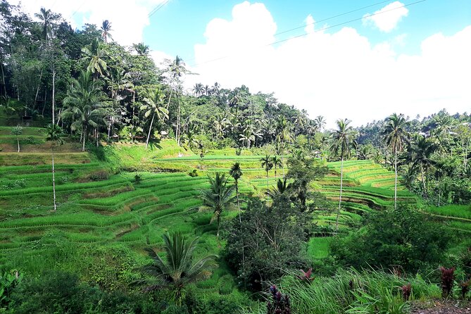 Best of Ubud - All Inclusive - Highlights of Ubud Tour