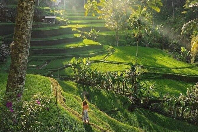 Best of Ubud: All-Inclusive Private Tour with Local Guide - Final Thoughts: Why Choose This Tour?
