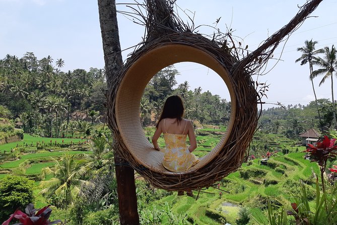 Best Of Ubud All Inclusive Tour, Waterfall,Rice Terrace and Temple - Waterfall Experience